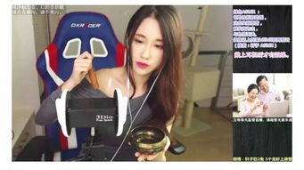 印尼巴士模拟器国产车辆模组 