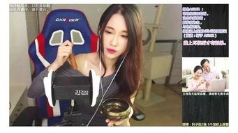 印尼巴士模拟器国产车辆模组 