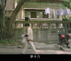 森林生存驯服动物 